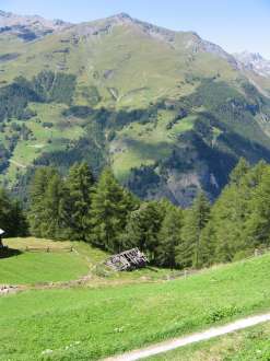 IMG_4439.JPG